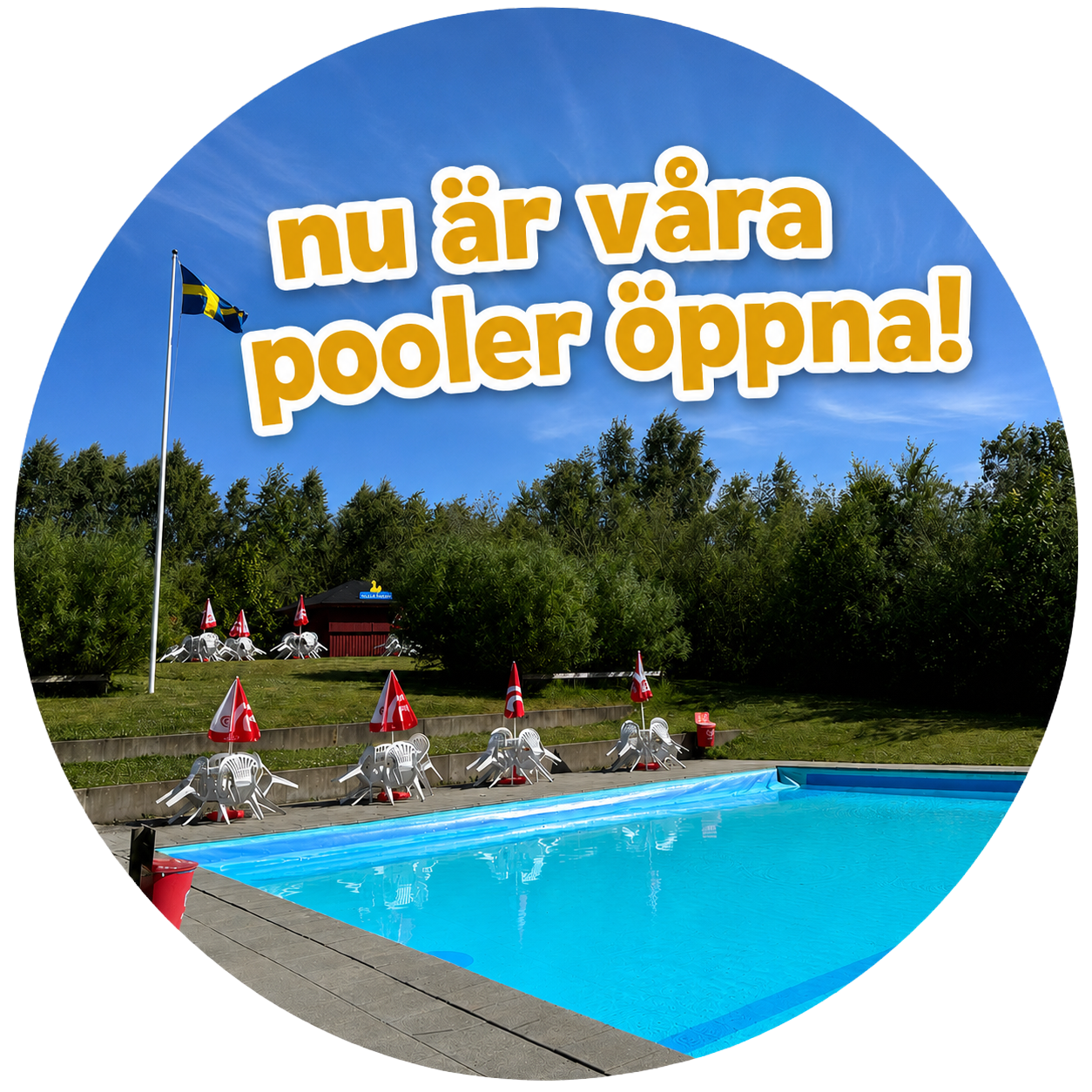 Nu är våra pooler öppna på Ystad Djurpark